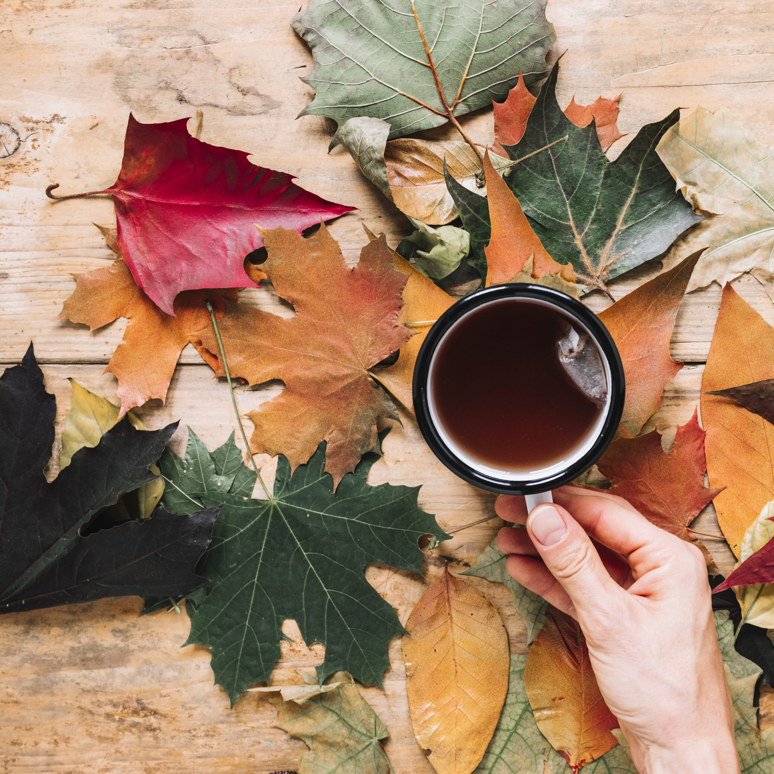 autunno tisana acqua depuratore