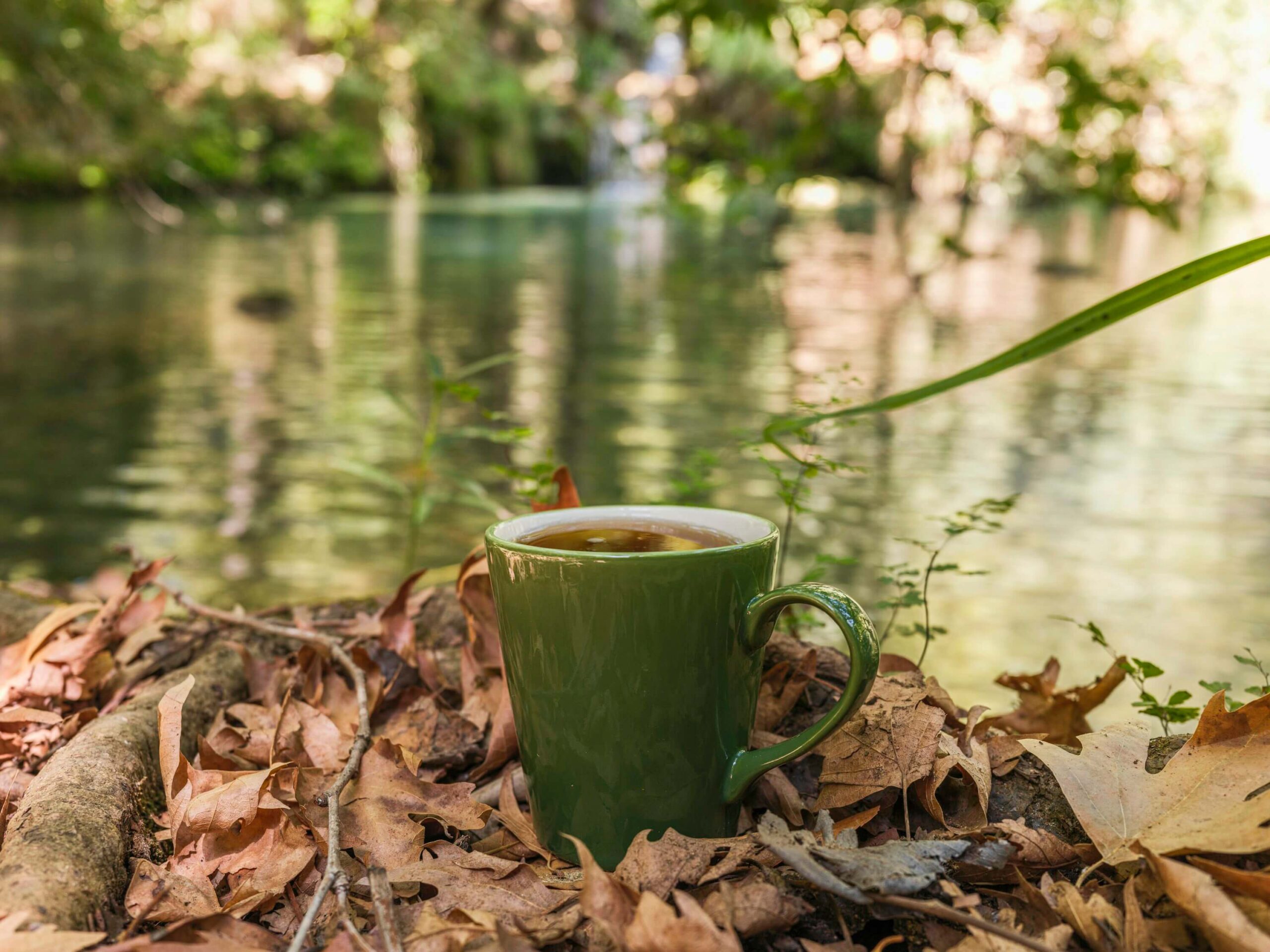 tisana autunnale acqua depurata