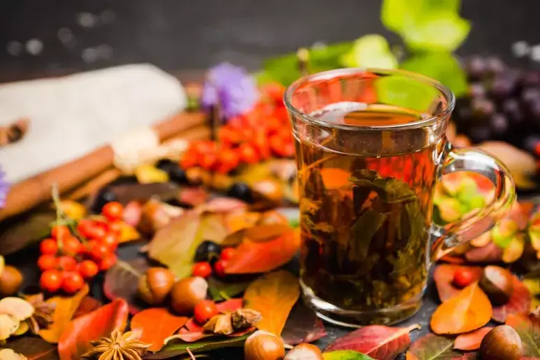 autunno tisana infuso acqua